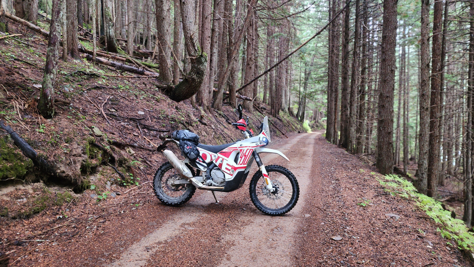 Live Q&A: The Kove 450 Rally Bike